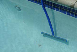Image result for Brush the sides of the pool and the pool ladder