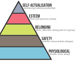 Image result for level two maslow