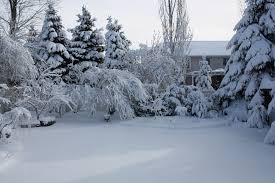Image result for heavy snow