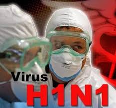 Resultado de imagen para gripe h1n1