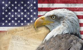 Image result for american flag constitution