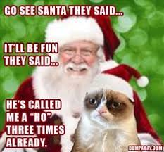 Grumpy Cat Christmas on Pinterest | Grumpy Cat, Grumpy Cat Quotes ... via Relatably.com