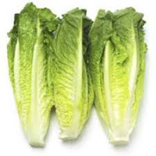Image result for romaine lettuce