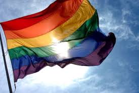 Image result for Rainbow flag