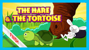 Image result for picture of hare and tortoise story