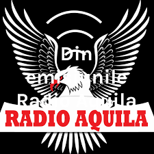 Din emisiunile Radio Aquila