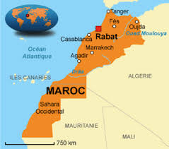 Résultat de recherche d'images pour "caricatures de marrakech"