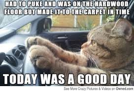 Funniest Cat Meme In The World - funniest cat meme ever due to ... via Relatably.com