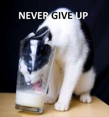 Image result for pictures of never giving up