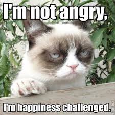 Memes Vault Angry Cat Memes via Relatably.com