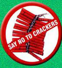 Save environment, say no to firecrackers this Diwali 
