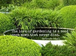 gertrude-jekyll-quote | The Enduring Gardener via Relatably.com