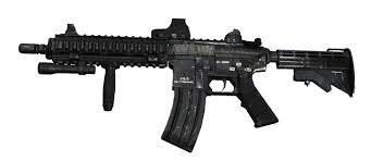 Image result for assault rifle pic