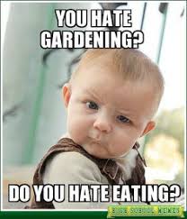 Gardening Quotes and Memes on Pinterest | Gardening Quotes, Seeds ... via Relatably.com