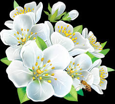 Image result for free clipart large flower