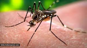 "Repeated Dengue Infections: How They Affect Your Body and Health"