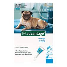 Advantage Medium Dogs 11-20lbs Aqua 12 + 4 Free