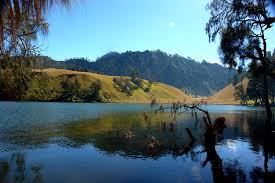 Image result for RANU KUMBOLO
