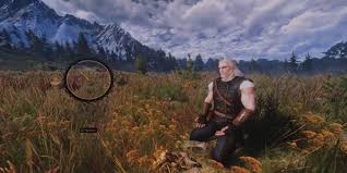 The Witcher 3: A Complete Guide To Toxicity