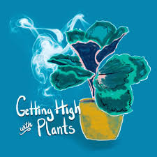 Getting High With Plants