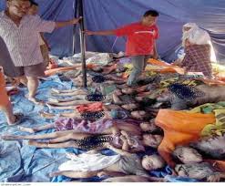 Massaker in Burma Images?q=tbn:ANd9GcRBB8_iMsd0wx8vvAsEEdgriPJ95XpT5G852sBfzuF1la7ZRX54