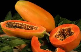 Image result for pawpaw for beauty photos