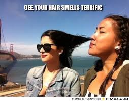 gee, your hair smells terrific... - Meme Generator Captionator via Relatably.com