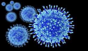 Image result for influenza virus