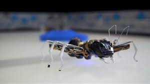 Resultado de imagen para robots hormigas