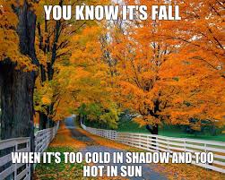 Image result for funny fall