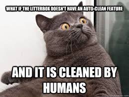 What if the litterbox doesn&#39;t have an auto-clean feature And it is ... via Relatably.com