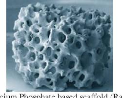 Image of Porous scaffold for tissue engineering