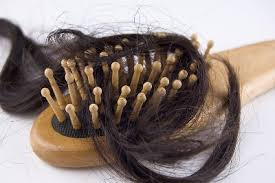 الأطعمة التي لها تأثير على منع تساقط الشعر ومقاومة الصلع Images?q=tbn:ANd9GcRDlzyeOp540SNHColeRAWSgD4hdvmAxOTUq1o-XFyTe2gOFfZG