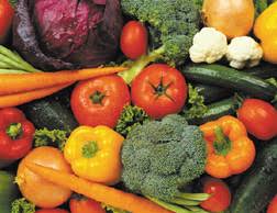 Image result for food and agriculture