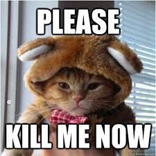 Kill Me Now Cat memes | quickmeme via Relatably.com