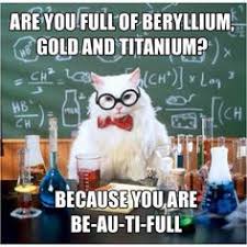 Science Kitty on Pinterest | Science Cat, Chemistry Cat and Chemistry via Relatably.com
