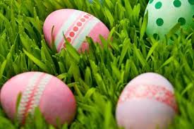 Image result for easter show prices