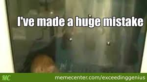 Cat Trapped Into Taking Bath by exceedinggenius - Meme Center via Relatably.com