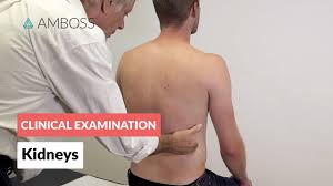 Percussion of the Kidneys - Clinical Examination - YouTube