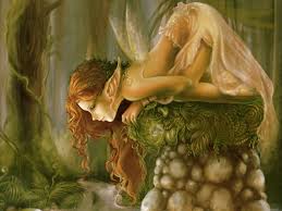 Image result for Images of fairies