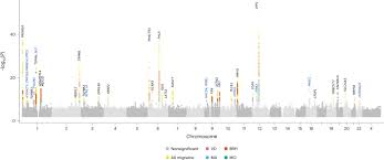 migraine subtypes Uncovering the Pathology of Migraine Subtypes: Insights from Rare Variants with Significant Impact, Both with and without Aura