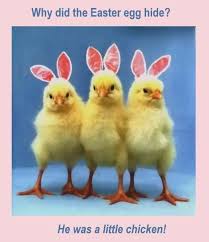 best-funny-easter-quotes-for-friends-3.jpg via Relatably.com