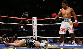 Image result for knock out