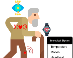 pet wearing a wearable device to monitor vital signs