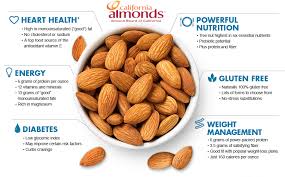 Image result for almonds pictures