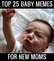 25 Best Baby Memes for New Moms via Relatably.com