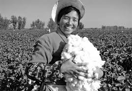 Image result for vintage cotton picking pictures of whites