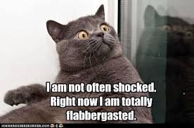 Gobsmacked! Flabbergasted! | Tidbits | Pinterest | Cat, I Am and ... via Relatably.com