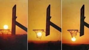 Image result for ball is life