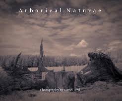 Arborical Naturae Von David Bird: Fine Art Photography | Blurb ... - 666620-8035363b843a039196e79e679d2d3244-fp-40ad01e80f20d9cb0ee4674100fe56d1